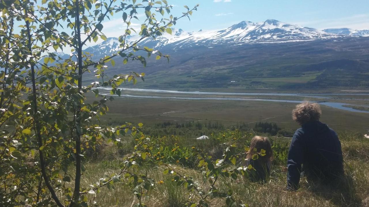 Iceland yurt Akureyri Dış mekan fotoğraf