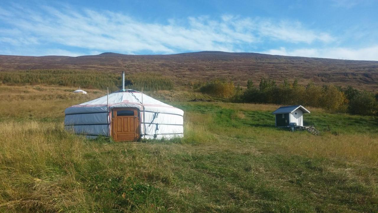 Iceland yurt Akureyri Dış mekan fotoğraf