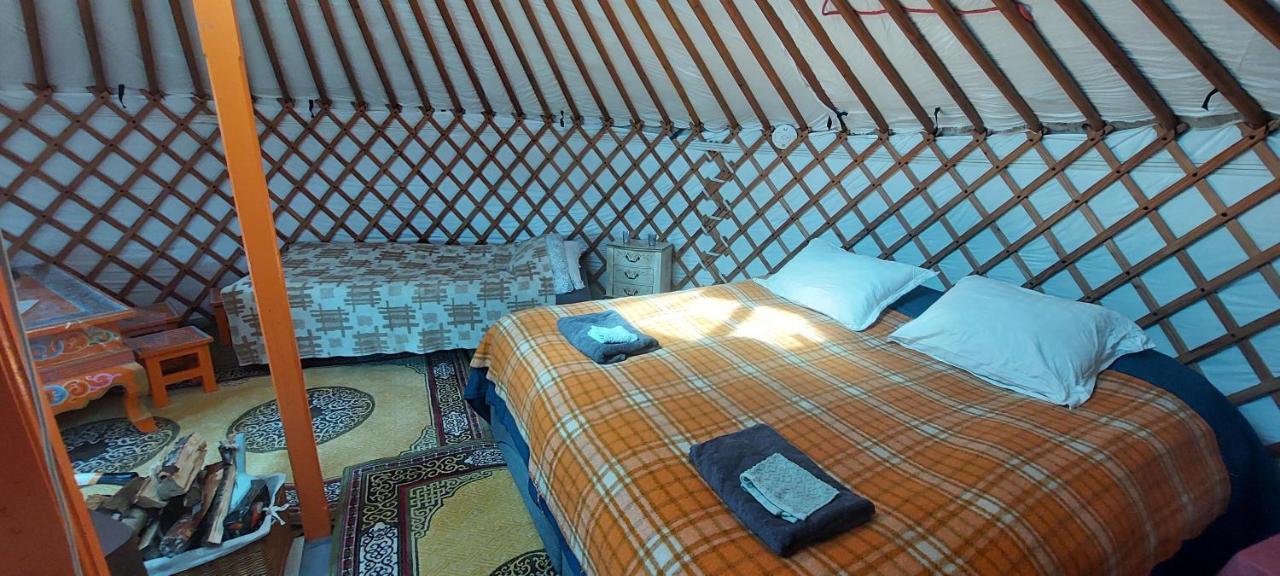Iceland yurt Akureyri Dış mekan fotoğraf