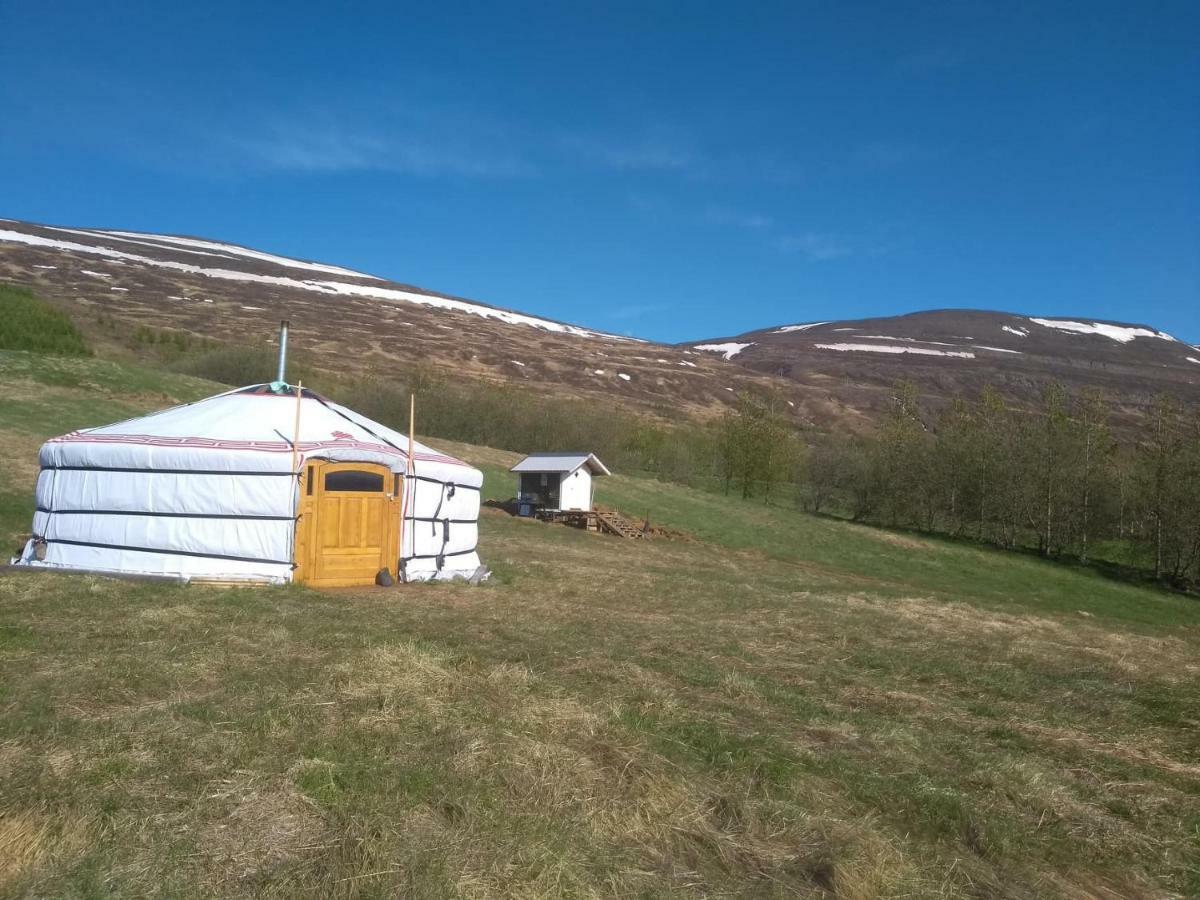 Iceland yurt Akureyri Dış mekan fotoğraf