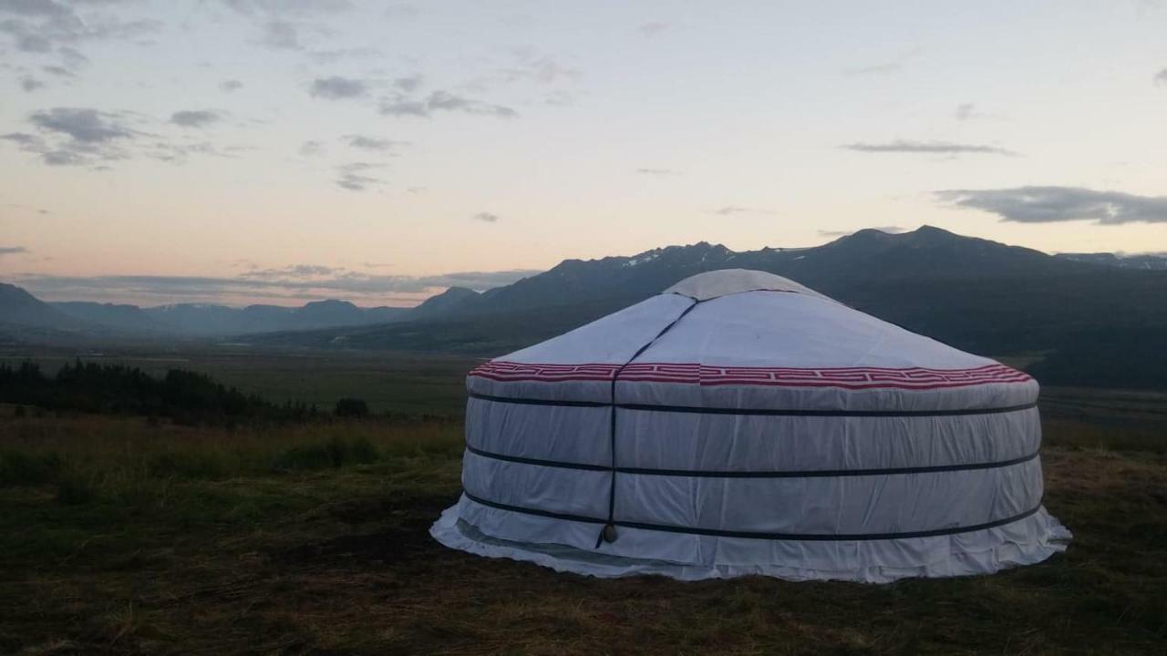 Iceland yurt Akureyri Dış mekan fotoğraf