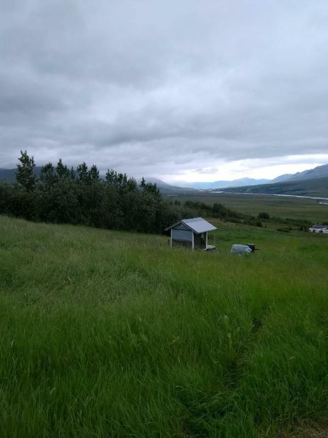 Iceland yurt Akureyri Dış mekan fotoğraf