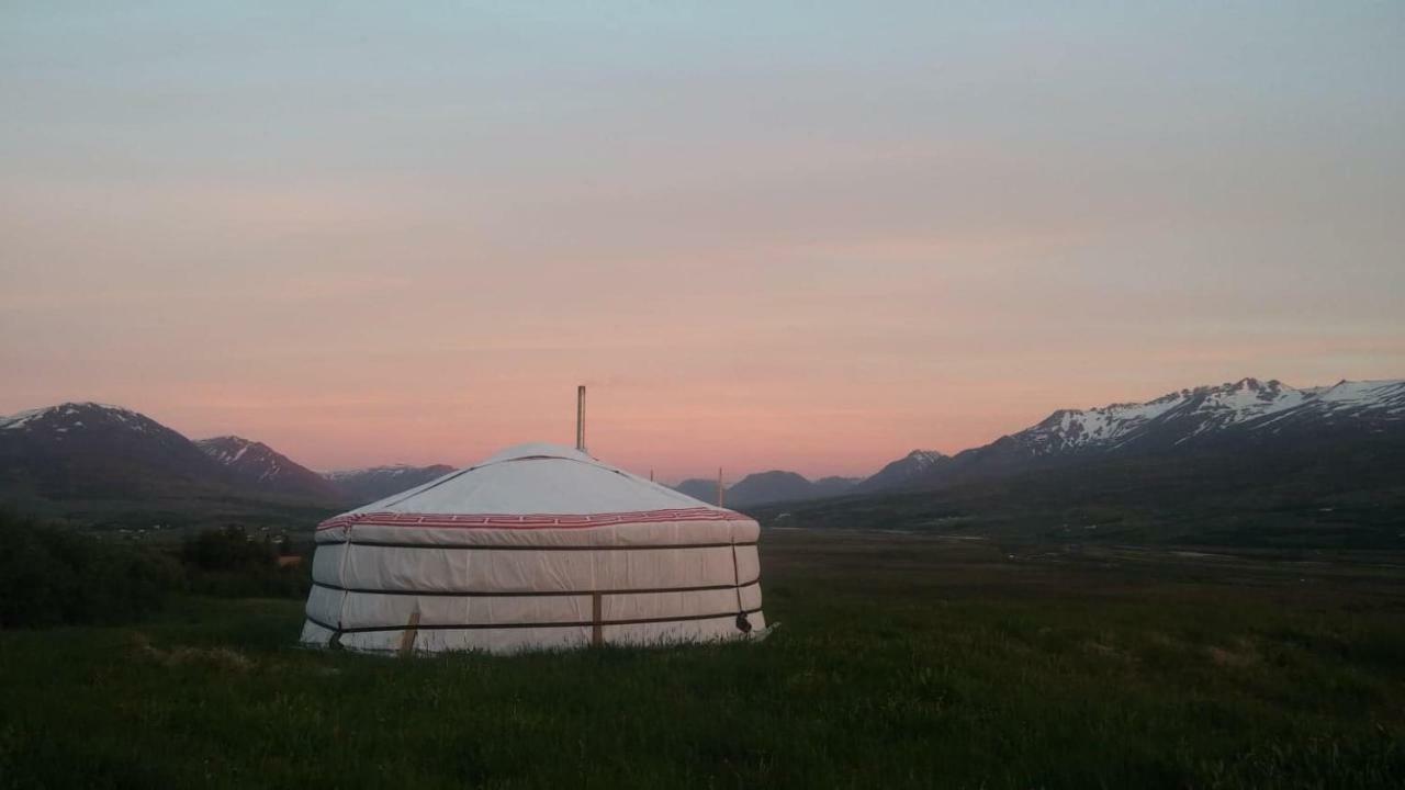 Iceland yurt Akureyri Dış mekan fotoğraf