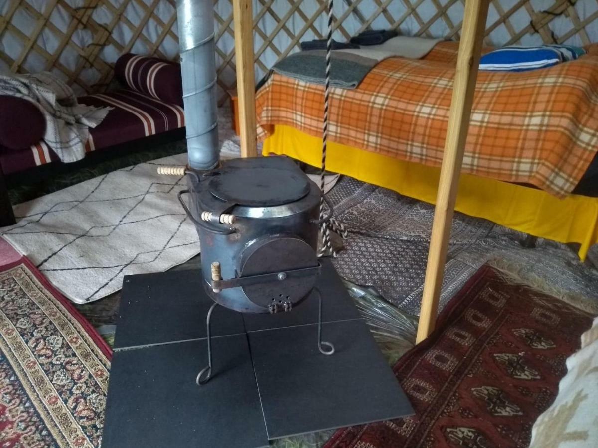 Iceland yurt Akureyri Dış mekan fotoğraf